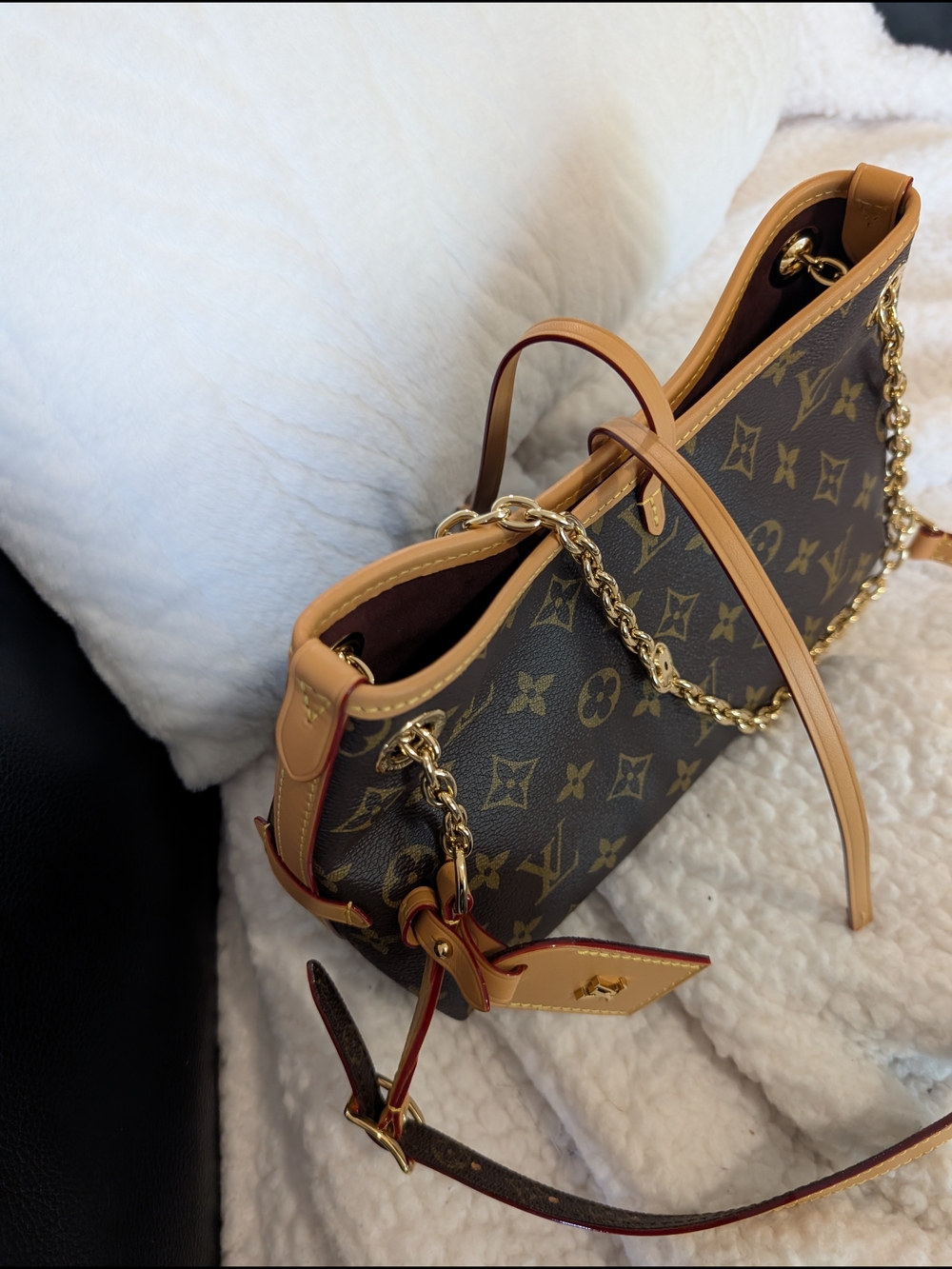 Louis Vuitton CarryAll BB - Picture 13 of 16